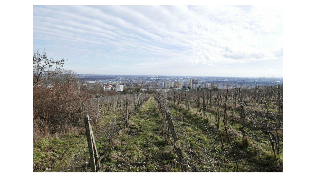 Investičný pozemok- vinice Bratislava-Rača, Slovensko